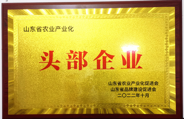 南陽湖農(nóng)場(chǎng)入選山東省首屆農(nóng)業(yè)產(chǎn)業(yè)化“頭部企業(yè)”