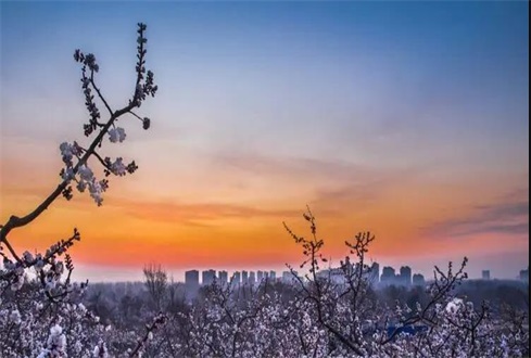 關(guān)于中央、省、市出臺的促進(jìn)企業(yè)復(fù)工復(fù)產(chǎn) 政策及主要內(nèi)容解讀