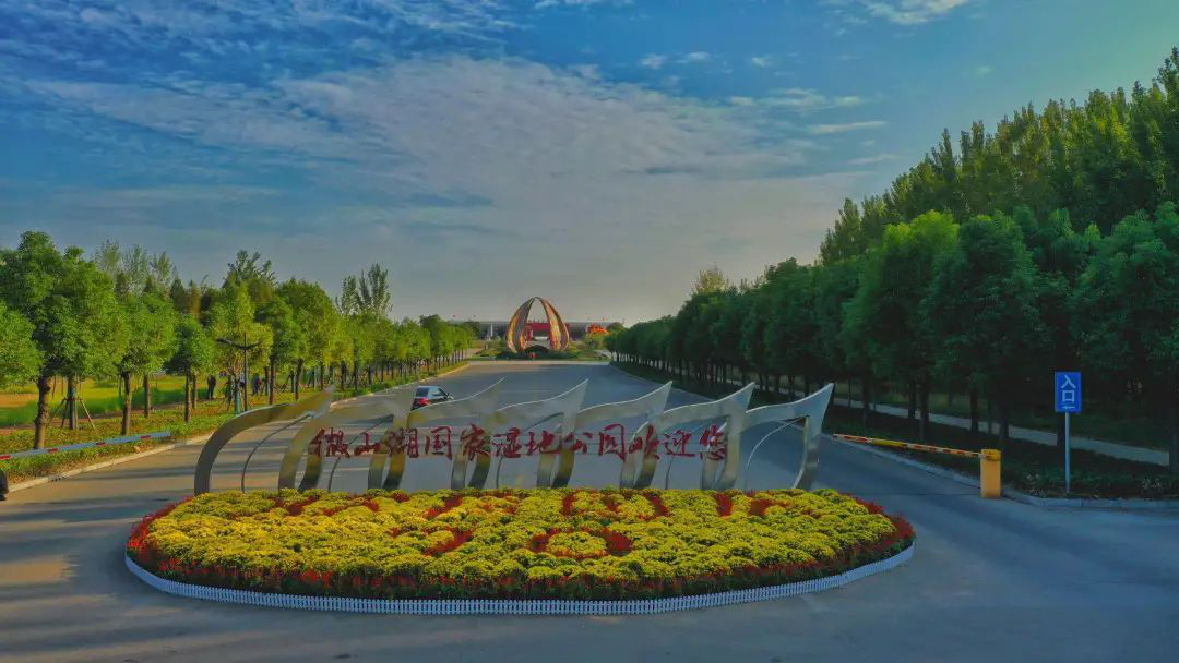 “云游”多彩濕地：濟寧微山湖濕地帶您領悟獨特的濕地之美！